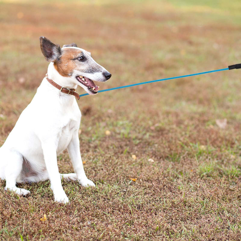Chew Proof Dog Leash, 6FT Heavy Duty Metal Cable Dog Leash Leads Chew Resistant Dog Leash Coated Wire Rope Leads Non Chewable Dogs Metal Leash for Large and Medium Dogs (Black & Blue) - PawsPlanet Australia