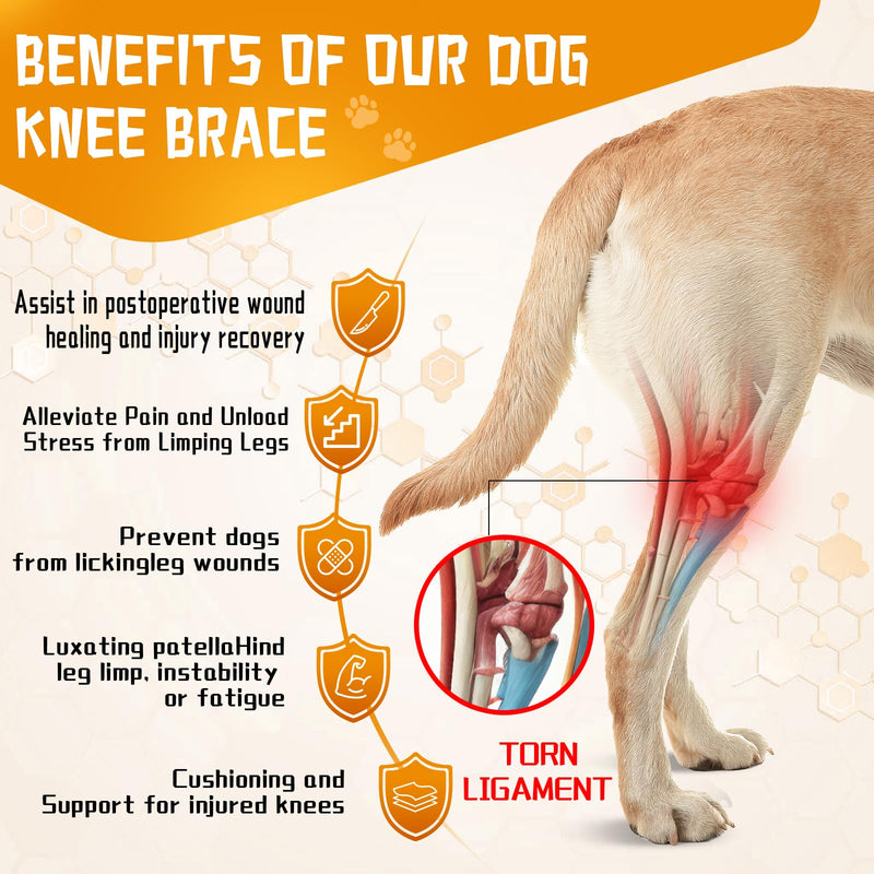 Dog ACL Knee Leg Brace, Dog Hip Brace for Front Torn and Back ACL Hind Rear Legs, Comfortable & Adjustable Tailwind Dog Hip Dysplasia Brace for Dog Arthritis, Luxating Patella with 10X Support (L) L - PawsPlanet Australia