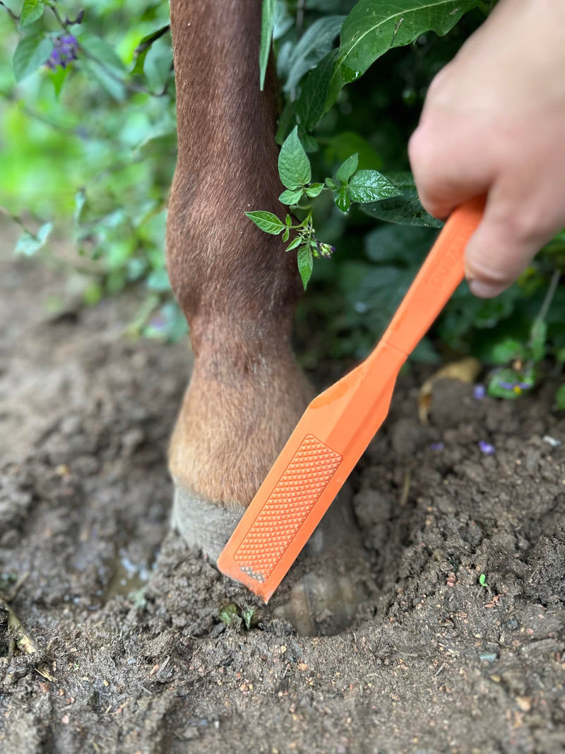 HoofWand • Horse Grooming Supplies for Daily Cleaning & Maintenance - HoofCare - Hoof Cleaner - Hoof Snow & Ice Removal - Pastern Cleaning - Coronary Band - PawsPlanet Australia