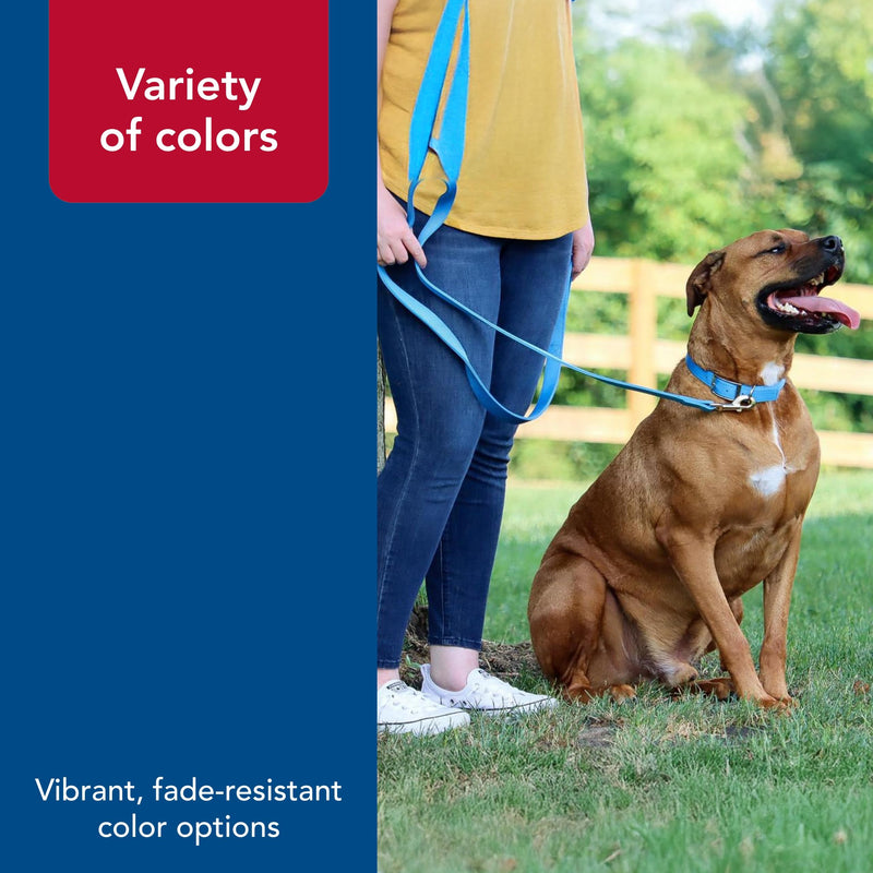 Coastal Pet Double-Ply Dog Leash - Bolt Snap Attachment to Collars and Harnesses - Nylon Dog Walking Leash for Small, Medium and Large Dogs - Teal - 1" x 6' 1" x 6' (Pack of 1) - PawsPlanet Australia