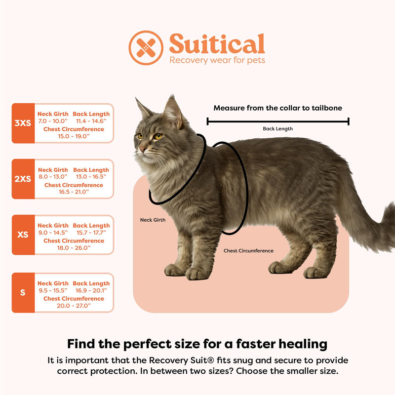 Suitical Recovery Suit for Cats - Spay and Neutering Cat Surgery Recovery Suit for Male or Female - Soft Fabric for Skin Conditions - XS, Neck to Tail 15.7-17.7 in, 18-24 in Chest - Black Camouflage