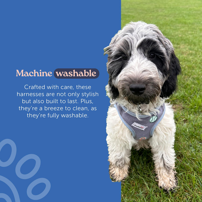 Doodlebone - Dinky Dog Snappy Harness - Step In Vest Style Harness for Small Dogs and Puppies, Lightweight Breathable Fit with Reflective Trim, Secure Fastening - Size 1-2 - Blue Cord - PawsPlanet Australia