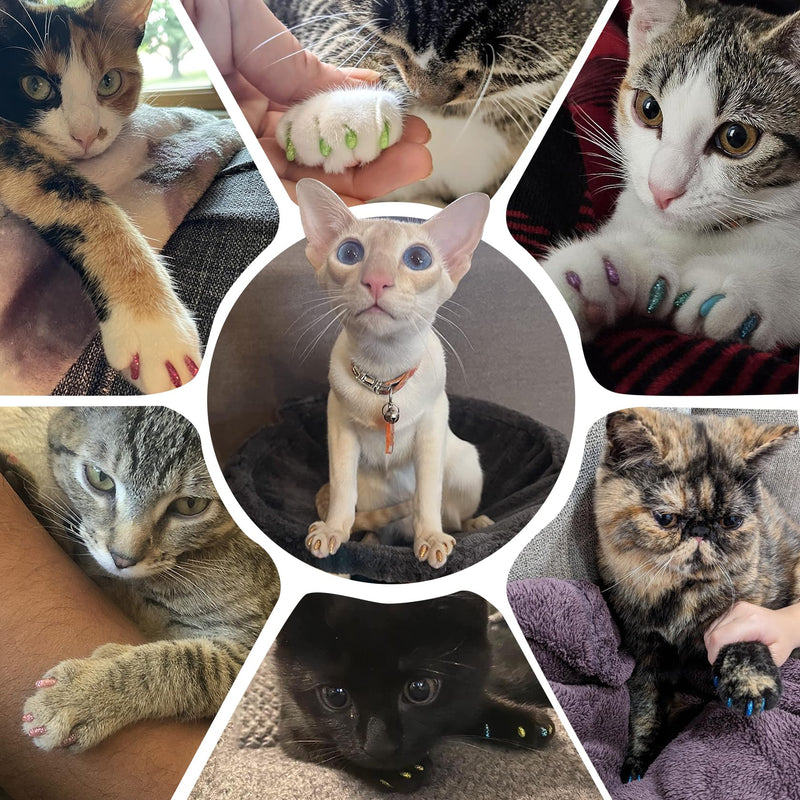 16x Glitter Colors / 160 pcs | Cat Nail Caps | Cat Claw Covers with Adhesives and Applicators (M) M - PawsPlanet Australia