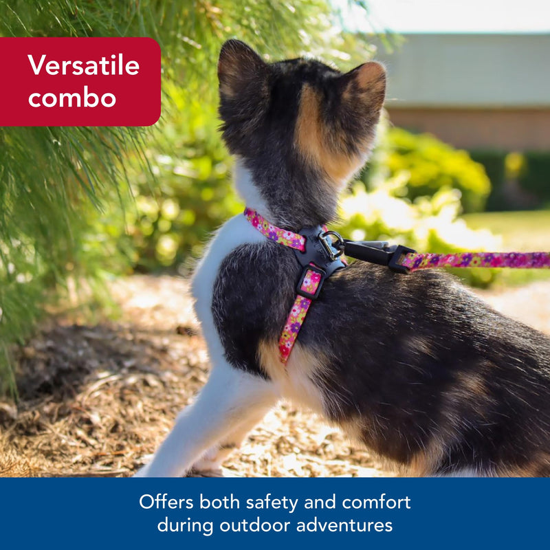 Coastal - Li’l Pals Adjustable Kitten Harness and Leash Combo - Pink and Purple Daisy Multi-Color - 3/8” x 6"-10” - PawsPlanet Australia