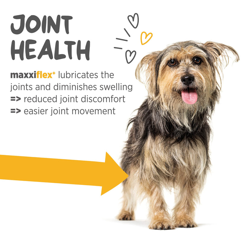 maxxipaws - maxxiflex+ Hip & Joint Supplement for Dogs with Glucosamine, Chondroitin, MSM & Collagen | Mobility, Flexibility & Discomfort Support | Senior, Adult & All Breeds | 120 Tablets 120 Count (Pack of 1) - PawsPlanet Australia
