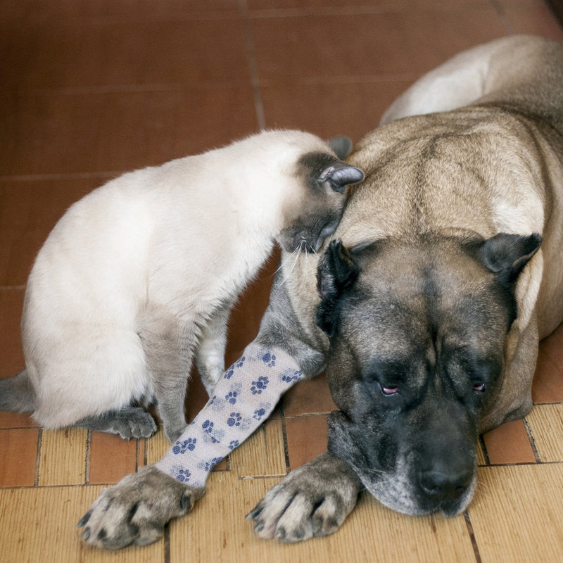 Pet Bandage Cohesive Bandage Self Adhering Stick Bandage, Multi-Function Non-Woven Fabric Elasticity Gauze Rolls Self Adhering Stick Bandage Wrap Vet Tape for Pet Animals (White and Blue) White and Blue - PawsPlanet Australia