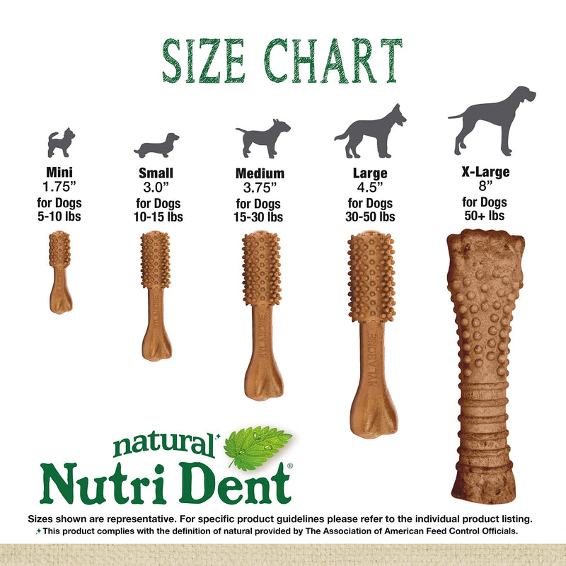 Nylabone Nutri Dent Dog Dental Chews - Natural Dog Teeth Cleaning & Breath Freshener - Dental Treats for Dogs - Filet Mignon Flavor, Mini (160 Count) 28.2 Ounce (160 Count) - PawsPlanet Australia