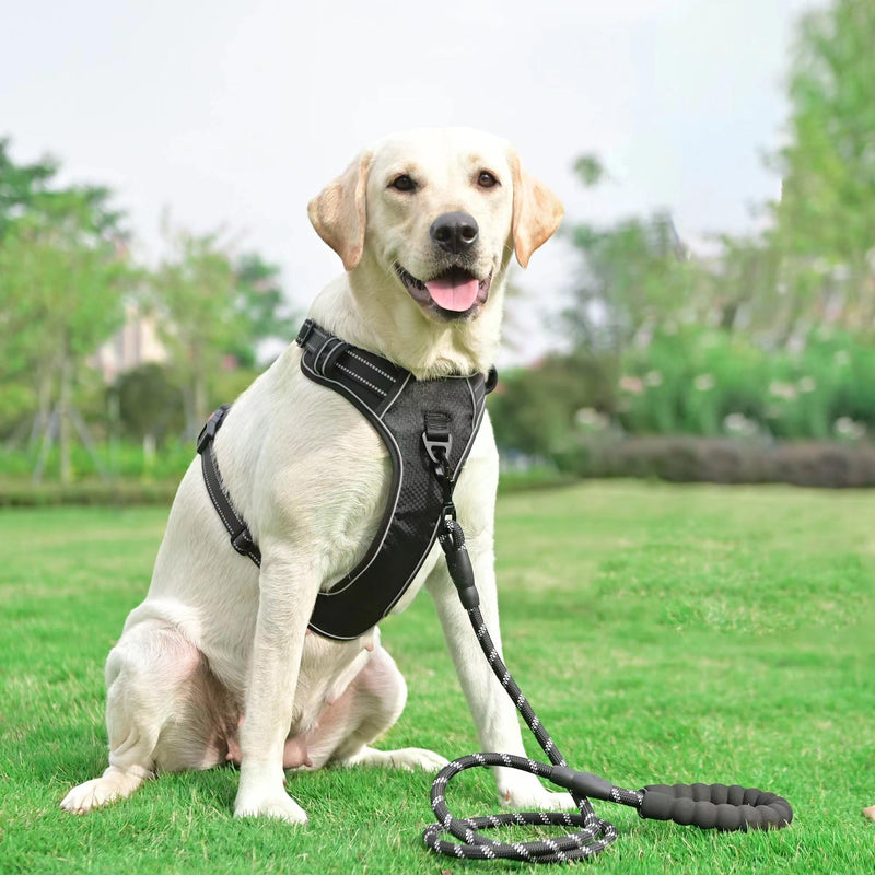 haapaw No Pull Dog Harness Adjustable Reflective Oxford Easy Control Medium Large Dog Harness with a Free Heavy Duty Dog Lead S Blue, harness+lead