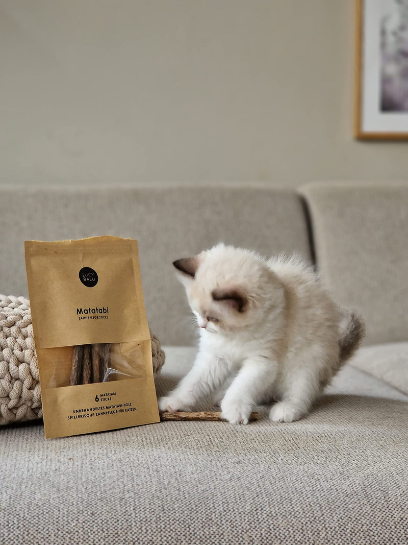 LucyBalu 6 x Matatabi Sticks for Cats, Natural Dental Care, Chew Bones for Cats, Bad Breath | Cat Sticks Made of Matatabi Wood | Cat Toothbrush | Matatabi Cat Toy Self-Employment