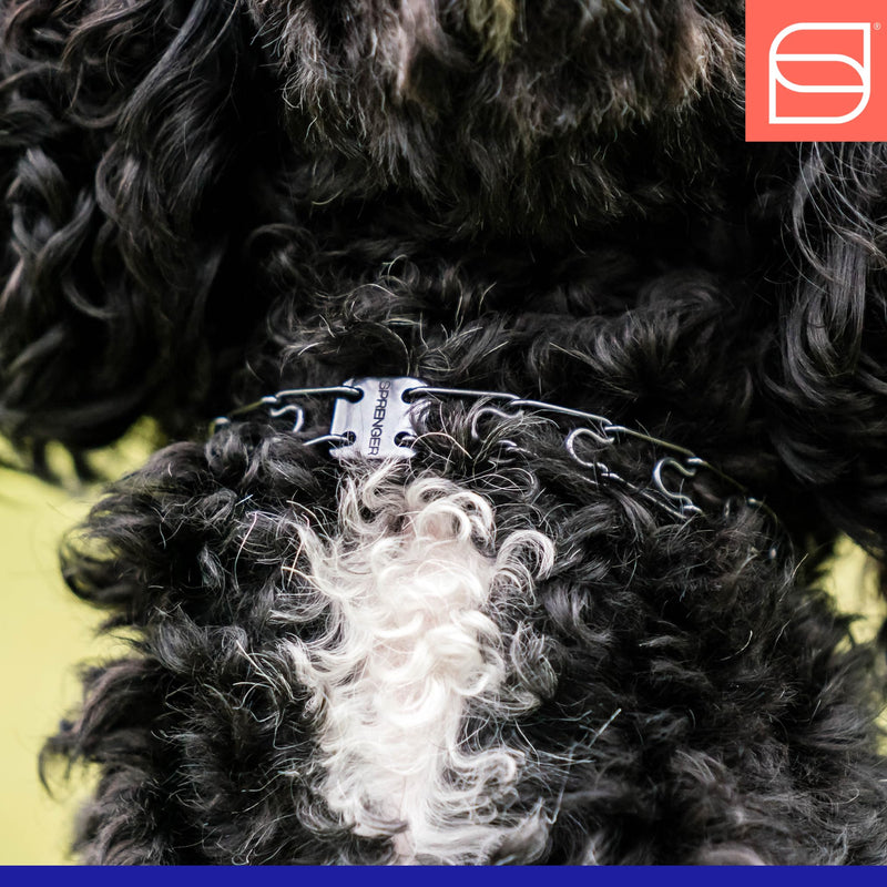 Herm. Sprenger Ultra-Plus Micro Prong Dog Training Collar for Smaller Dogs, Anti Pull Training Pinch Collar, Stainless Steel Black (1.5 mm x 9.5" Neck Size; 12-13" Chain Length) - O-Ring Version - PawsPlanet Australia