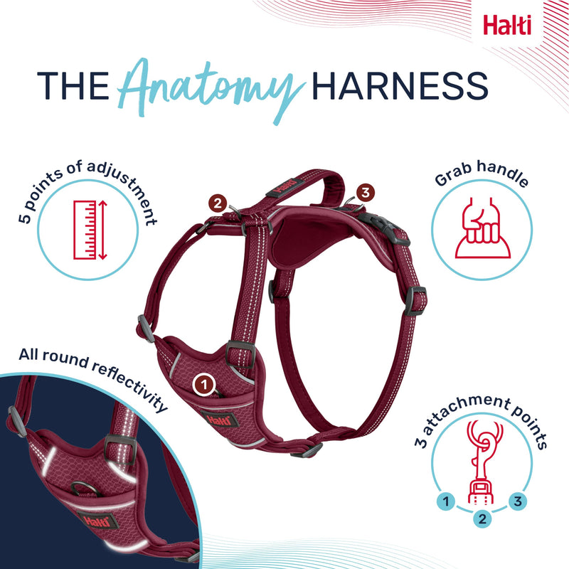 HALTI Anatomy Dog Harness with Handle - Provides Your Dog Freedom of Movement for Comfortable Walking. 3 Leash Attachment Points, Neoprene Padded, Adjustable, and Reflective (Size Medium, Magenta) M - PawsPlanet Australia