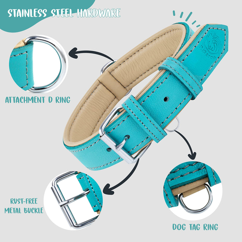 Riparo Genuine Leather Padded Dog Heavy Duty K-9 Adjustable Collar XL Aqua - PawsPlanet Australia