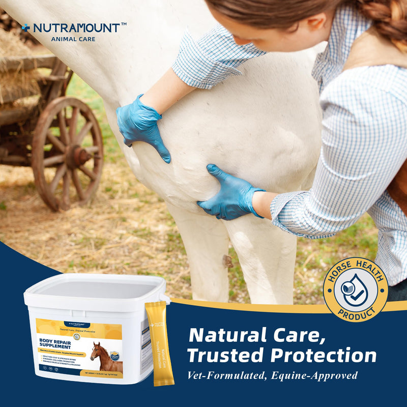 Body Repair Supplement for Horses, Amino Acids for Muscle Recovery, Protein Support & Performance-100 Day Supply Big Tub