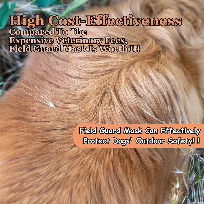 M Size Foxtail Mask for Dogs, Dog Foxtail Protection, Dog Ear Protection - PawsPlanet Australia