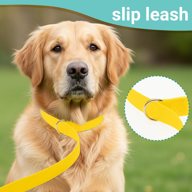 Slip Lead Dog Leash, 12 Pack 6 FT Short Leash with O-Ring for Small, Medium & Large Dogs, Pet Leads Leashes Bulk for Walking, Training, Rescues, Grooming, Shelter, Running Outdoor - PawsPlanet Australia