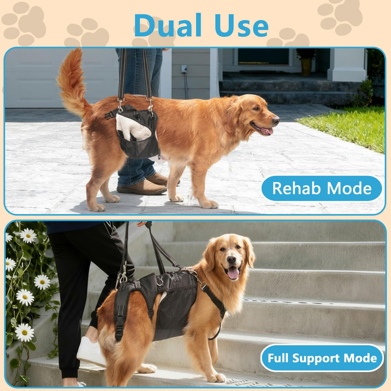 Dual-use Dog Lift Rehab Hareness Canine Sling for Large Pooch Rear Legs and Hip Support,Adjustable and Soft Brace Strap for After ACL Surgery, Helps Senior, Injured and Disabled K9. - PawsPlanet Australia