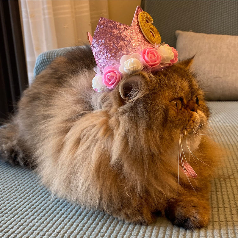 Pet Crown Hat Dog Birthday Hat Reusable Birthday Party Crown for Pet Girl Cat Doggie Headband Hats with 0-9 Figures Charms Pet Gift Grooming Accessories with Glue Dots Pack of 1(Pink) PINK