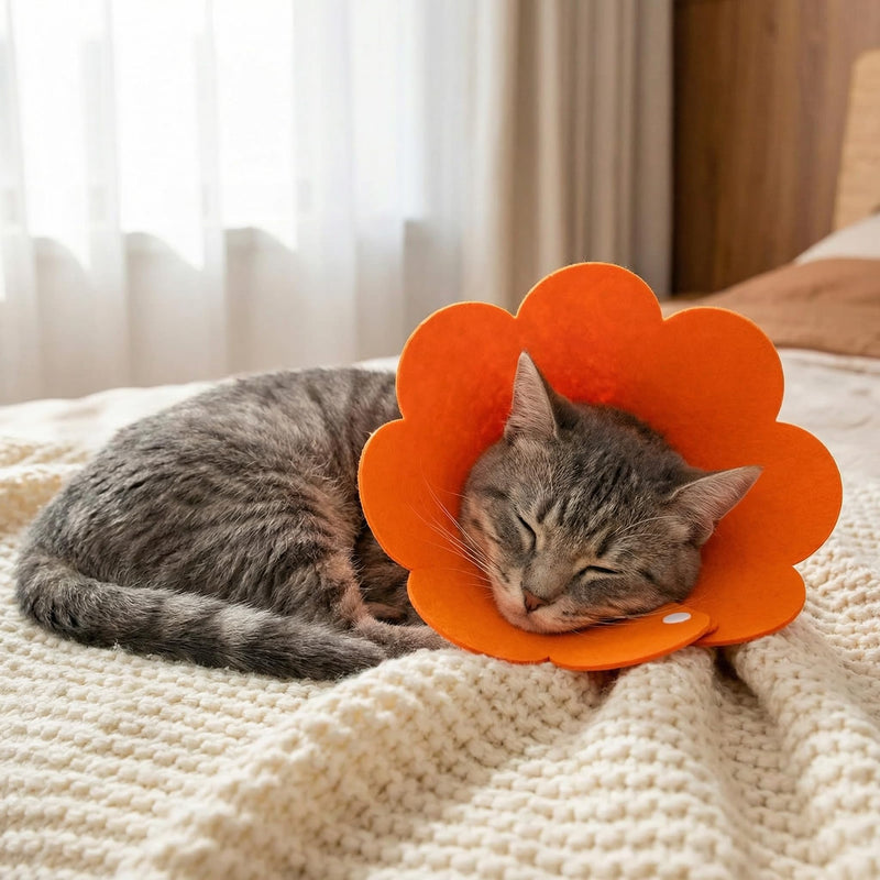 3Pcs Cat Recovery Collar Cat Protection Cones for Cats Sunflower Neck Cone Anti-Licking Recovery Collar to Prevent from Biting Scratching(Pink, Orange, Blue) (S)