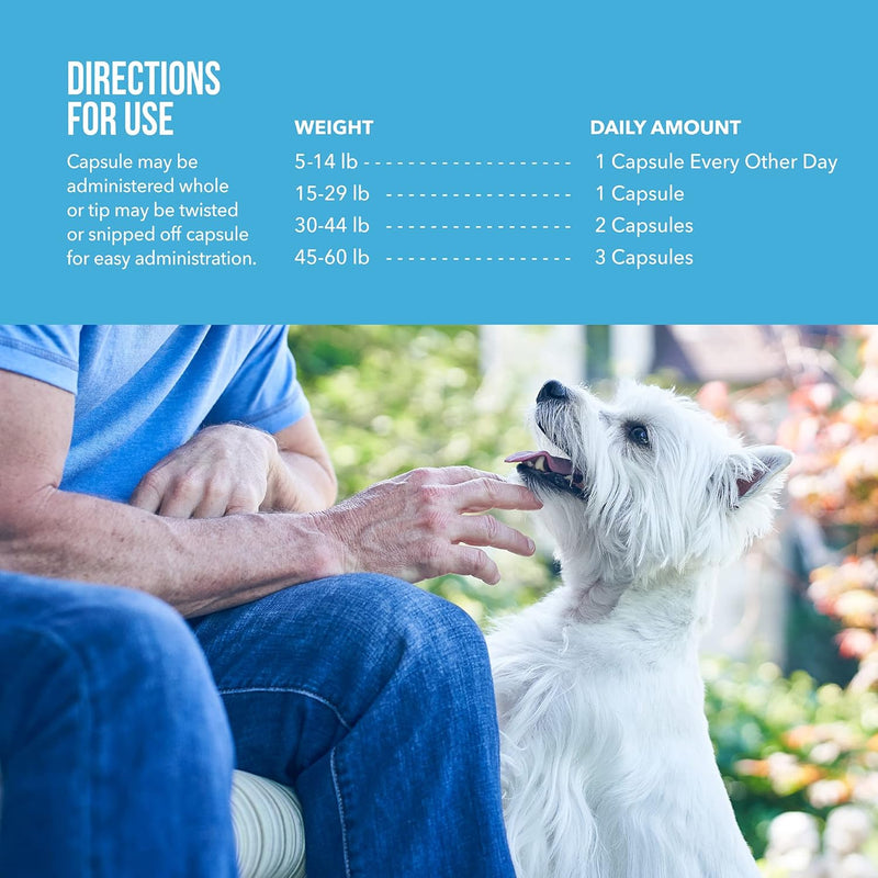 Omega 3 Fish Oil for Dogs, High Natural Omega-3, DHA, EPA Fish Oil Supplements for Pets, Supports Dog Dry Skin, Itching & Shedding - Strengthen Immune, Heart, Hip & Joint Health - 60 Counts - PawsPlanet Australia