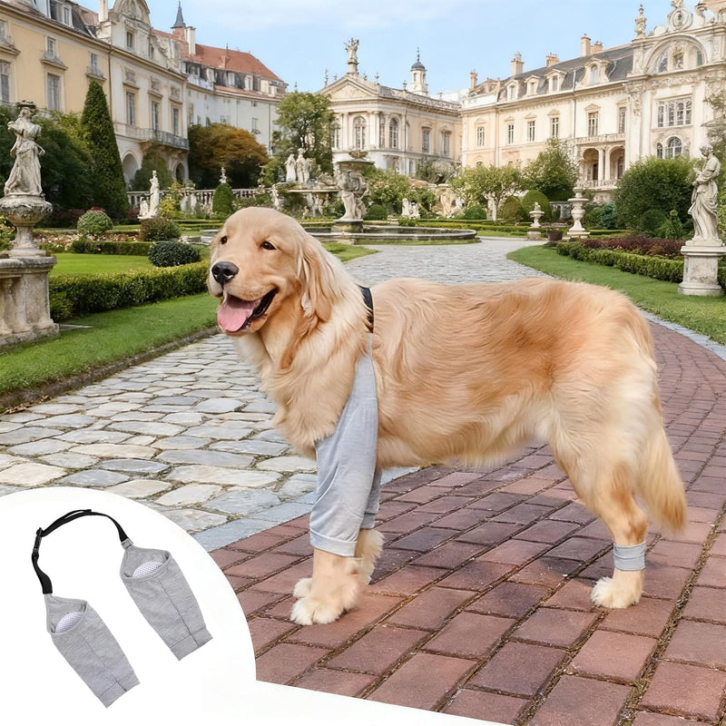 Pack of 2 Elbow Pads for Dogs, Black and Grey, Mesh Structure, Knee Brace, Dog, Size XXL, Adjustable Elbow Brace for Dogs, to Protect the Joints and Knees