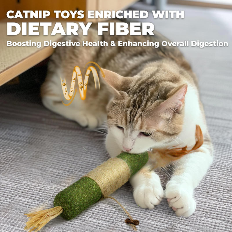 SEKAM Catnip Toys for Cats - 1 Pack Cat Chew Toy & Cat Feather Toy, Cat Toys for Indoor Cats Cleaning Teeth, Relaxing Cats,Cat Chew Toy for All Breeds