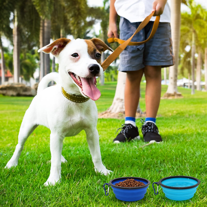 COLLAPSIBLE Dog Cat Bowls 2 Pack Travel Dog Bowls Portable Pet Water Bowl Dog Cat Food Feeder Walking Hiking Camping Bowl for Small Medium Large Dogs Light Blue & Dark Blue - PawsPlanet Australia