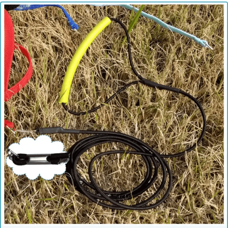Pet Parrot Bird Harness Leash Adjustable Bird Flying Harness Traction Rope with Cute Wing for Parrots Pigeons Budgerigar Lovebird Cockatiel Mynah Outdoor Training Toy (M, Blue) Medium - PawsPlanet Australia