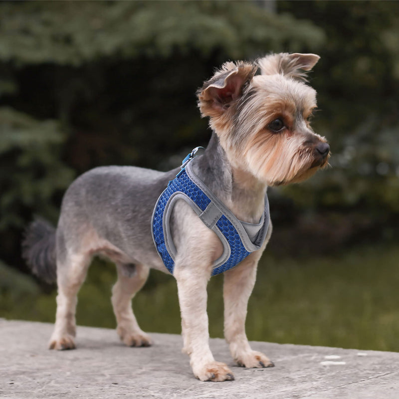 Dog Harness (Chest 20.5"-22", Weight 20–25 lbs) Athletica Adjustable Heavy Duty No Choke Puppy Vest for Small Dogs Lightweight Air Mesh, Reflective, Puppy Essentials – Blue, X-Large X-Large (Chest: 20.5-22") - PawsPlanet Australia