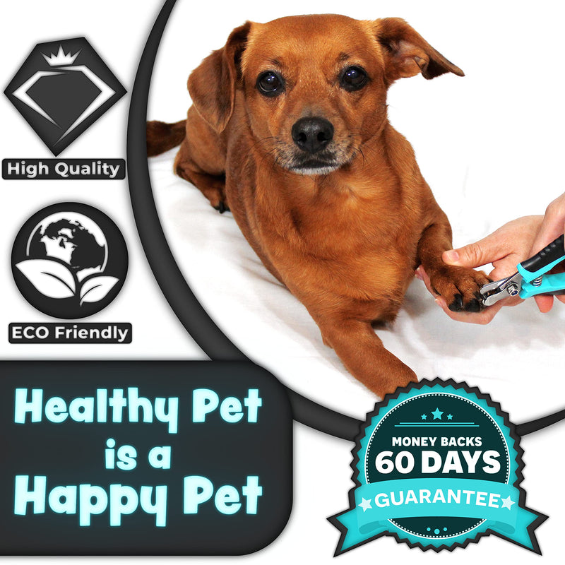 H&H Pets Nail Clippers Series - for Cats and Dogs - Razor Sharp Blades Sturdy Non Slip Handles - Dog Accessories Professional at Home Grooming - Stainless Steel - Dog Nail Trimmers - M (Sm-M Dogs) - PawsPlanet Australia