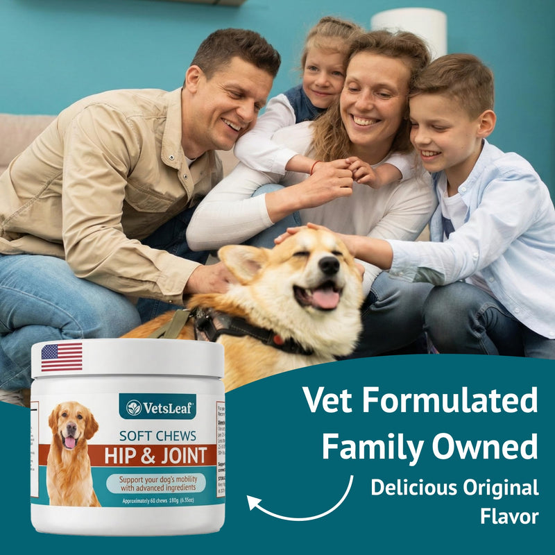 Hip & Joint Dog Chews – Glucosamine, Chondroitin, MSM, Turmeric & Collagen for Joint Health & Mobility – High-Potency Supplement for Dogs of All Breeds & Sizes – Active Lifestyle Support Hip & Joint - PawsPlanet Australia