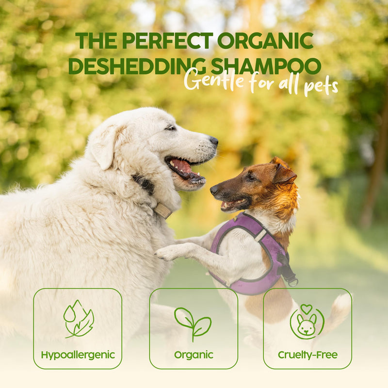 King Kanine Natural Dog & Cat Shampoo King Klean 16 oz | Organic Pet Shampoo for Sensitive & Dry Skin | Hypoallergenic Gentle Cleansing Formula for Pet Allergies - PawsPlanet Australia