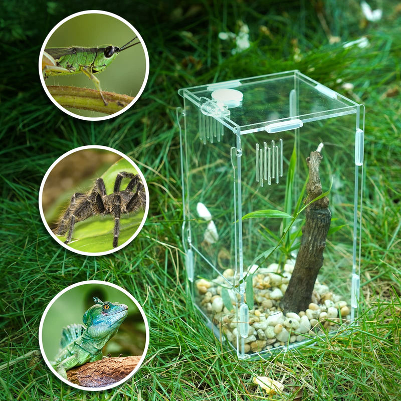 BETAZOOER Acrylic Mini Reptile Tank Habitat Transparent Terrariums with Locking Latch Suitable for Tarantula Isopod Roach Invertebrates (4''x4''x8'') Small