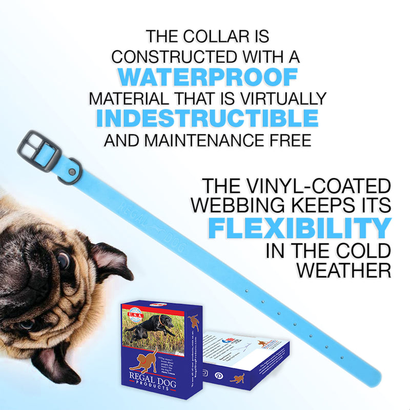 Waterproof Standard Dog Collar with Black Hardware Double Buckle & D Ring with Matching 5' Leash Combo Small Black Harware Light Blue