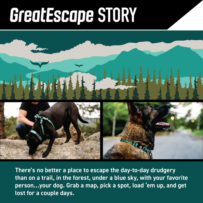 Wolfgang Heavy Duty Dog Leash, Pull-Tested to Over 800 lbs for Walking & Training, GreatEscape Print, Small - PawsPlanet Australia