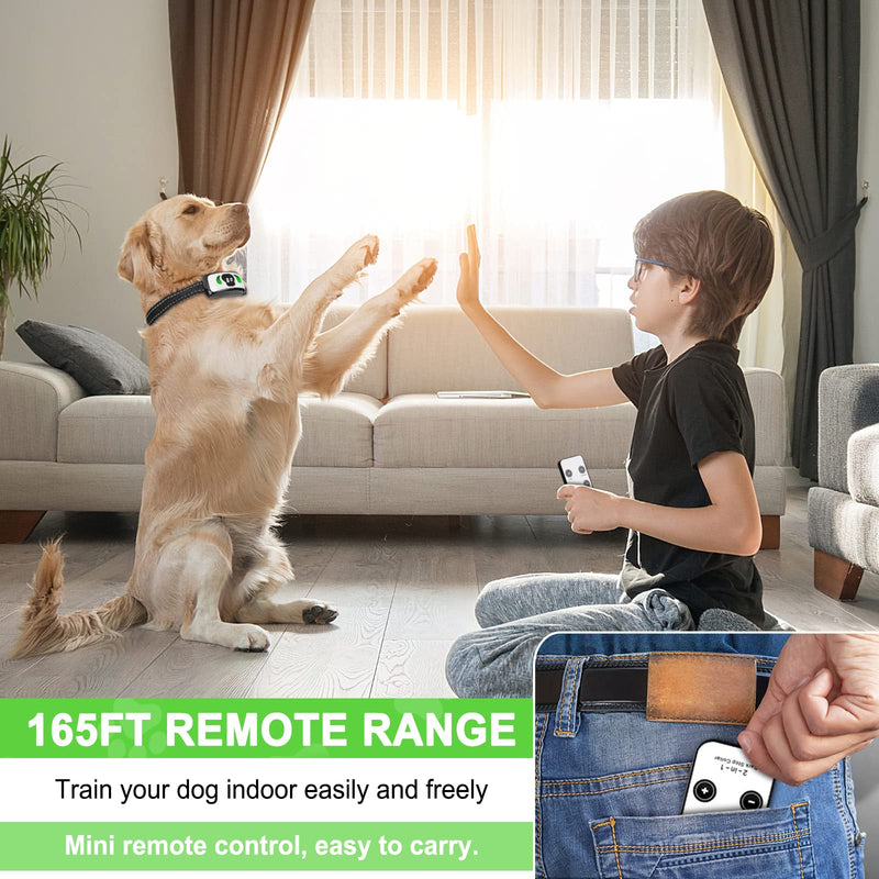 Dog Training Collar with 4 Training Modes - Dog Bark Collar with Mini Remote - Dog Shock Collar for Indoor & Outdoor, Shock Collar for Large Dog Medium Dog & Small Dog (10~120 lbs) White - PawsPlanet Australia