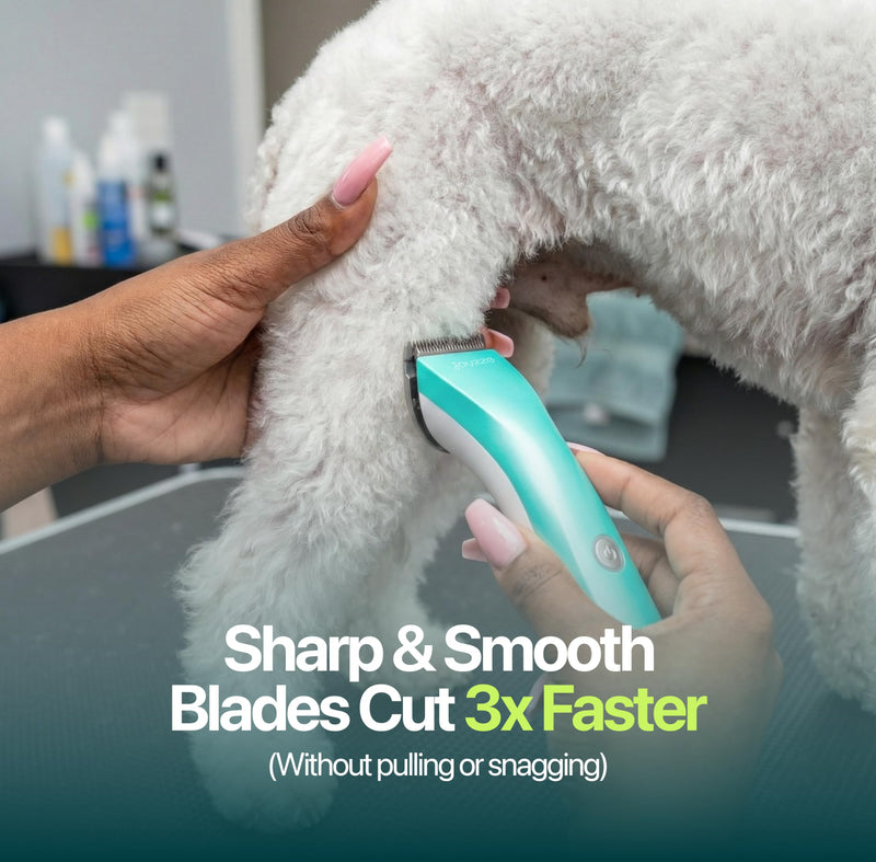 M Series Clippers Blades - Premium Quality, Compatible with Hornet Mini Clippers Only - Achieve Professional Pet Grooming,Ideal for Trimming and All Hair Types (Mini T Blade) Mini T Blade