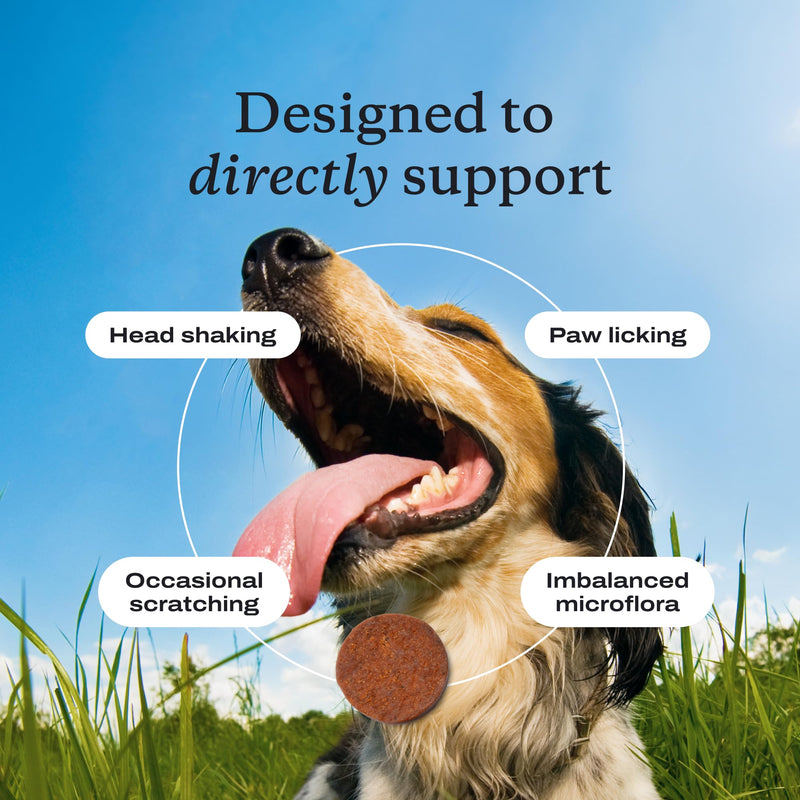 PetLab Co. Allergy & Immune Daily Probiotics for Dogs. Supports Yeast Production, Seasonal Allergies, Intermittent Itchiness, Gut & Digestive Health for Medium Size Dogs, Packaging May Vary Medium Dogs