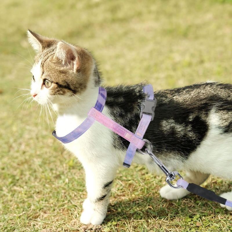 Cat Harness and Leash Set, Escape Proof Comfortable Soft Kitten Harness for Safe Walking and Travel, Adjustable Easy to Wear for Small Medium Cats(Gradient Purple) - PawsPlanet Australia