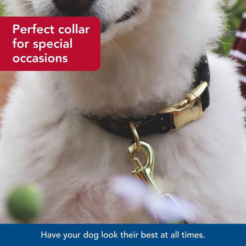 Coastal Pet Accent Metallic Adjustable Dog Collar - Comfortable Dog Collar - Sturdy Metal Buckle - Functional & Aesthetic for Pets - Bright Black Galaxy, 5/8" x 12"-18" 5/8" x 12"-18" (Pack of 1) - PawsPlanet Australia