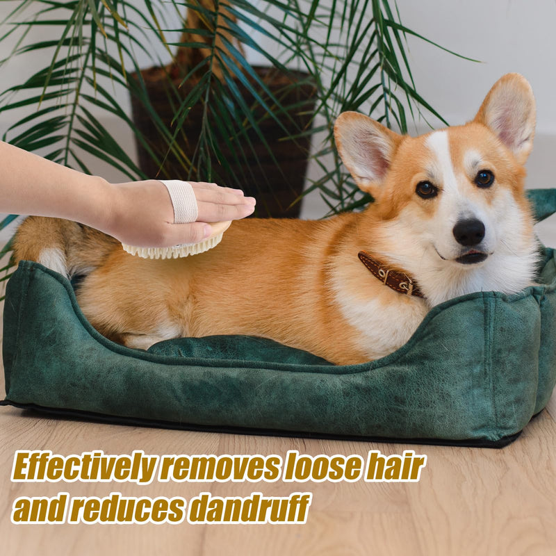 Pet Palm Brush for Dogs & Cats, Puppy Hand Brush for Massaging Grooming Shedding, Soft Bristle Kitten Brush Efficient Pet Loose Hair Remover Comb Supplies for Long and Short Hair Pets(Brown) Brown - PawsPlanet Australia