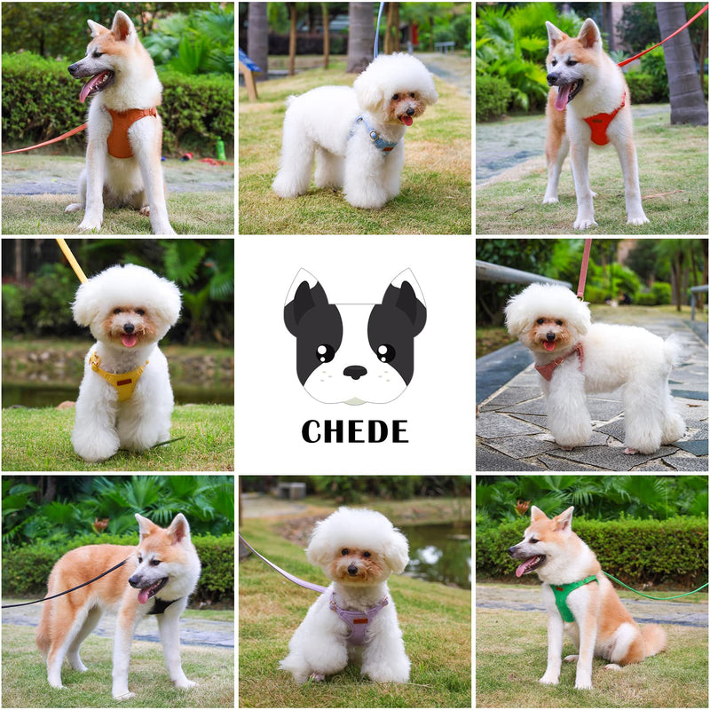 CHEDE No Pull Puppy Harness and Multifunction Dog Leash Set- 8 Colors Soft Adjustable No Choke Escape Proof Cute,Lightweight Pet Vest Harness for Small and Medium Dog (S, Purple) S - PawsPlanet Australia