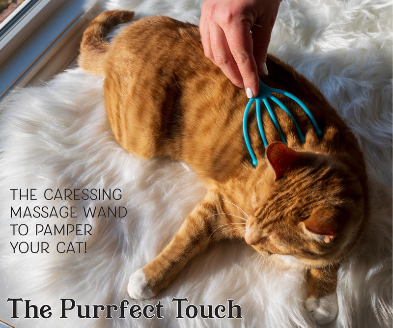 The Purrfect Touch - 5 Finger Cat Massager Wand – Pack of 2 - Gentle Pet Grooming Tool for Cats and Small Pets - Ergonomic Handle, Soft, Relaxing Massage that Cats Love! - PawsPlanet Australia