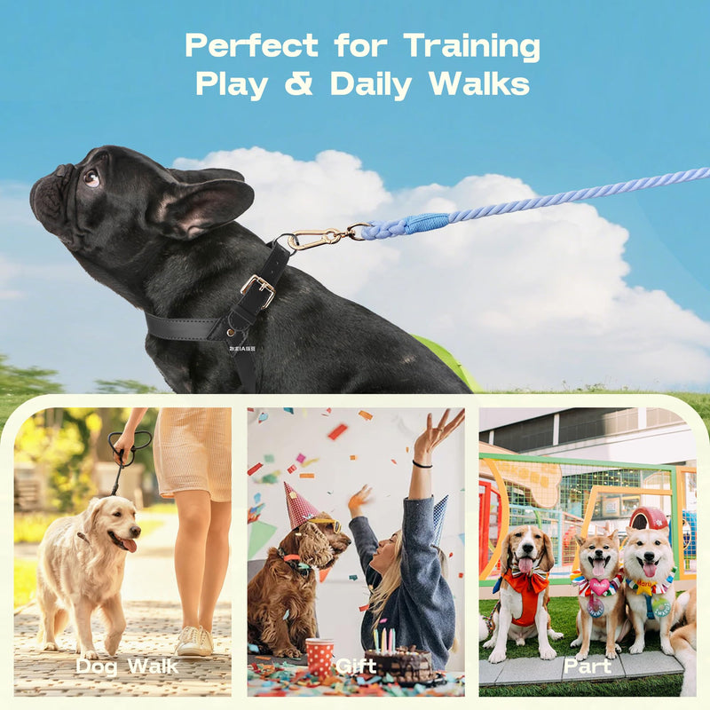 Natural Cotton Dog Leash, 6 FT Heavy Duty Rope Leash with Comfortable Handle, Durable Dog Lead for Walking and Training-Sky Breeze Sky Breeze - PawsPlanet Australia