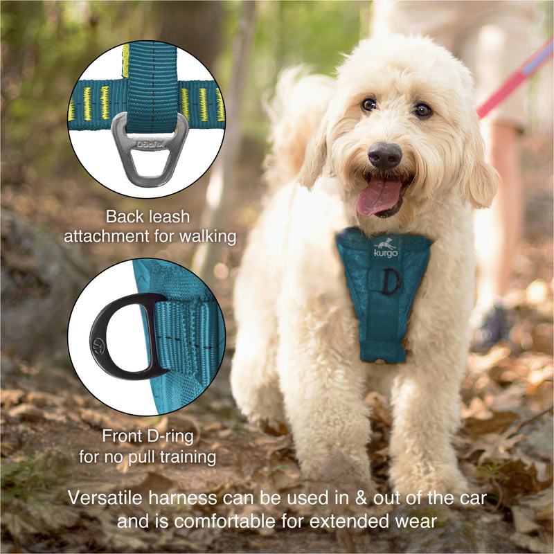 Kurgo Enhanced Strength Tru-Fit Dog Car Harness - Pet Travel Safety Harness - Crash Test Certified Fit - Five Point Adjustment - Secure Buckle - Padded Chest - Ink Blue - Small