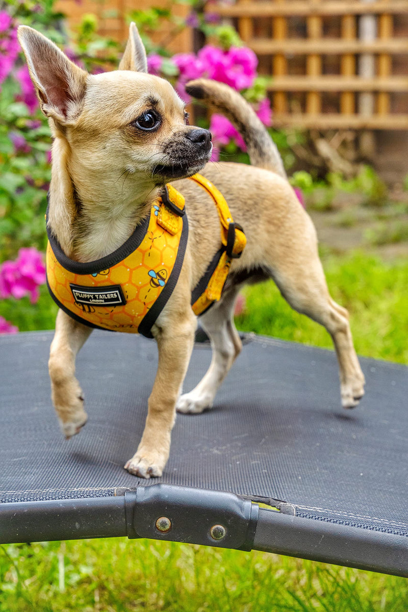 Bee Pattern Yellow Dog Harness No Pull Adjustable Puppy Cat Honeycomb Design Vest Harness Small Dog Breathable Soft Padded Pet Chest Strap (Extra small) Extra small