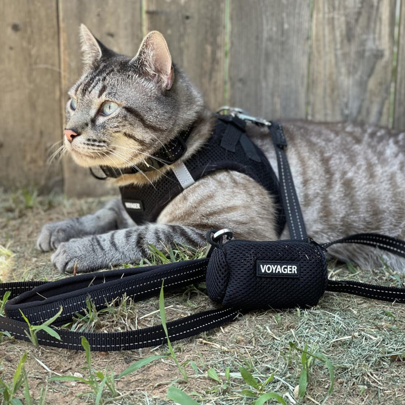 Voyager Step-in Air Cat Harness - All Weather Mesh Step in Vest Harness for Small and Medium Cats by Best Pet Supplies - Harness (Black), XXXS (Chest: 9.5-10.5") Harness (Black) XXXS (Chest: 11 - 12" * Fit Cats) - PawsPlanet Australia