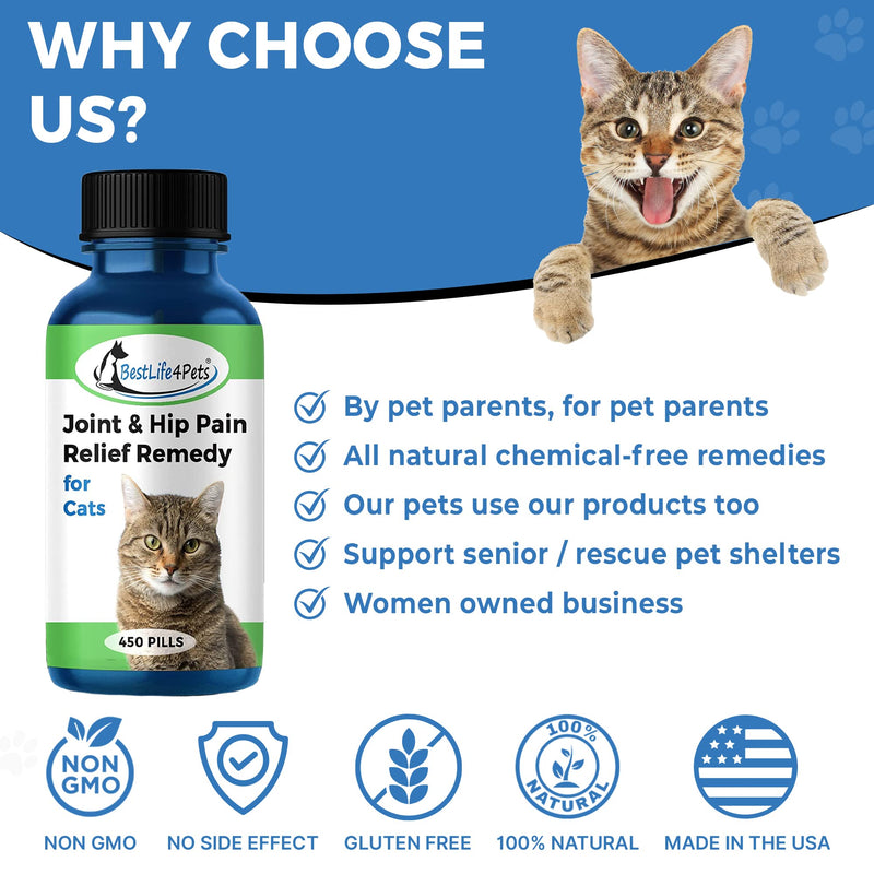 BestLife4Pets Cat Hip and Joint Supplement - Relief from Pain, Inflammation, and Injuries - Improve Mobility - No Odor or Taste - All Natural Easy to Use and Swallow - Pills