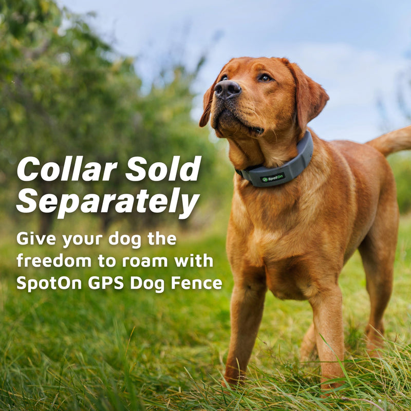 SpotOn GPS Dog Fence Charging Kit Omni Edition, Portable Charger for Wireless Dog Fence & GPS Tracker, Extended Battery Life Mode, Includes Collar Cradle, Plug & Cable, Collar Sold Separately