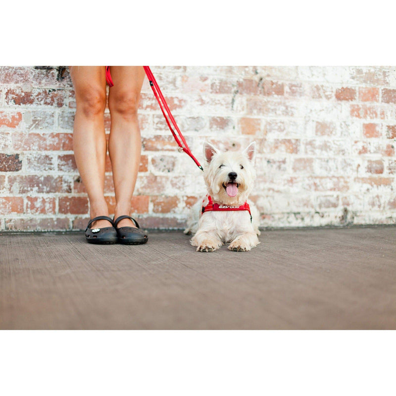 EzyDog Soft Trainer Dog Leash with Traffic Control Handle - Reflective Stitching for Nighttime Safety and Superior Strength and Comfortability for Training Large to Medium Dogs (72”, Denim) Standard - PawsPlanet Australia