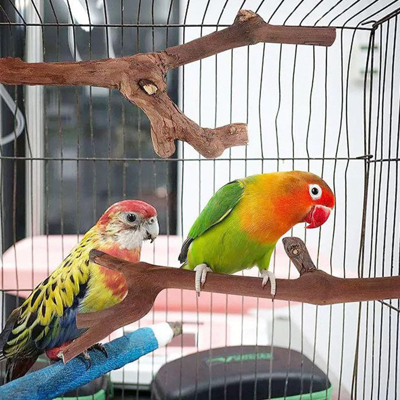 Woohome 5 PCS Natural Grape Stick Natural Wooden Parrot Stand, 3 Grape Wood Perch, 2 Stand, Paw Grinding Fork Bird Perch Stand for Cage Accessorie, Cockatiels, Small Birds WDM-NZG-006 - PawsPlanet Australia